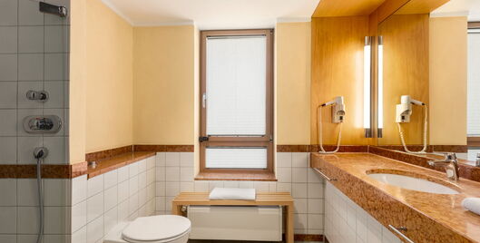 Bad mit Dusche, Toilette, Waschbedecken, Spiegel und Fenster